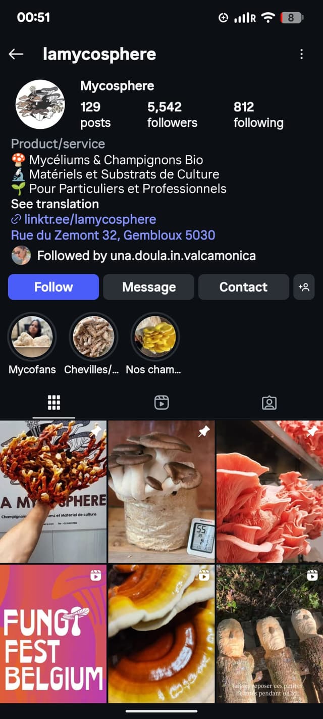 Instagram Mycosphere